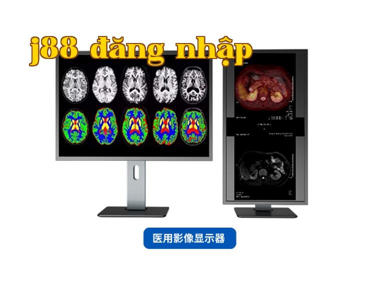 Màn hình hiển thị hình ảnh y tế + Trợ lý sức khỏe con người số + Nền tảng quản lý sức khỏe cá nhân