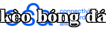 Connectivity Standards Alliance