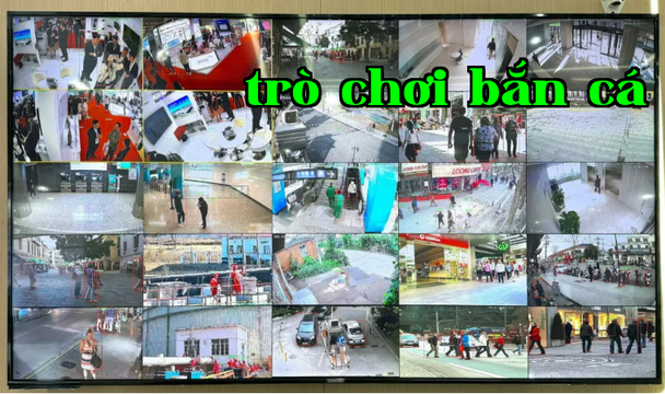 Hình ảnh 1.png