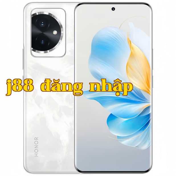 Hình ảnh 1.png